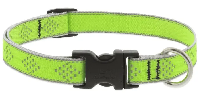 Lupine Green Diamon 6"-9"