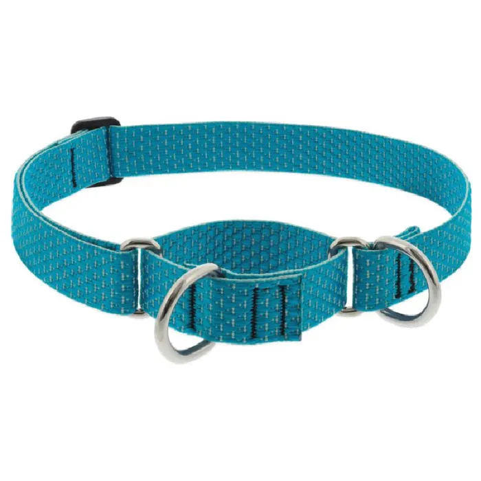 1in Tropical Sea 15-22 Martingale