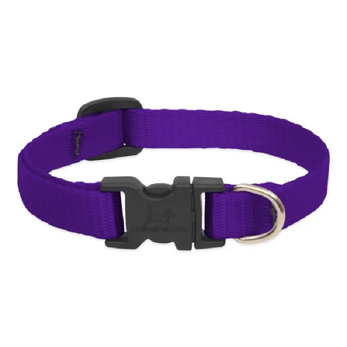 Adjustable Collar 8-12"x1/2" Purple