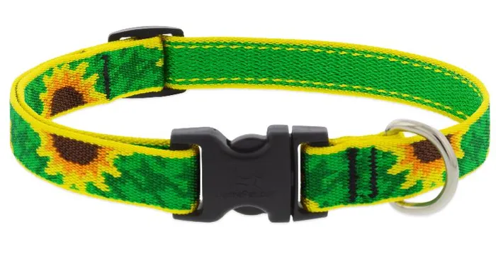 46435-1/2" Collar 10-16" Sunflower