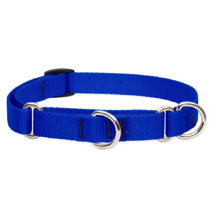 Lupine 3/4" Martingale Collar Blue 14"-20"
