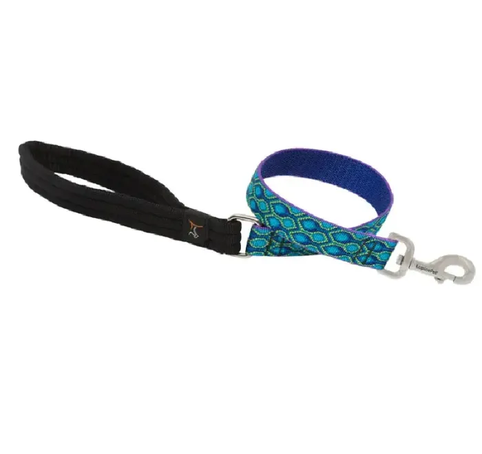 1" Rain Song 2' Leash