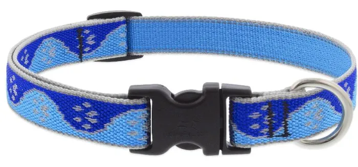 Lupine Collar 9-14" Hl Blue Paws
