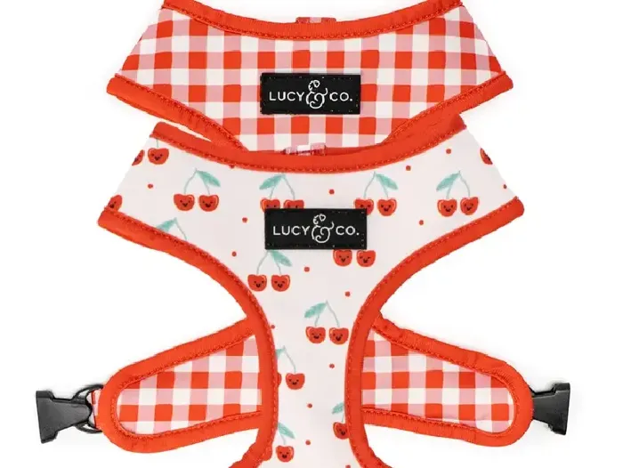 Cheery Cherries Reversible Harness Small