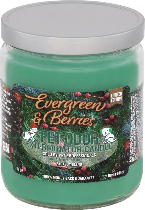Pet Odor Candle, Evergreen & Berries