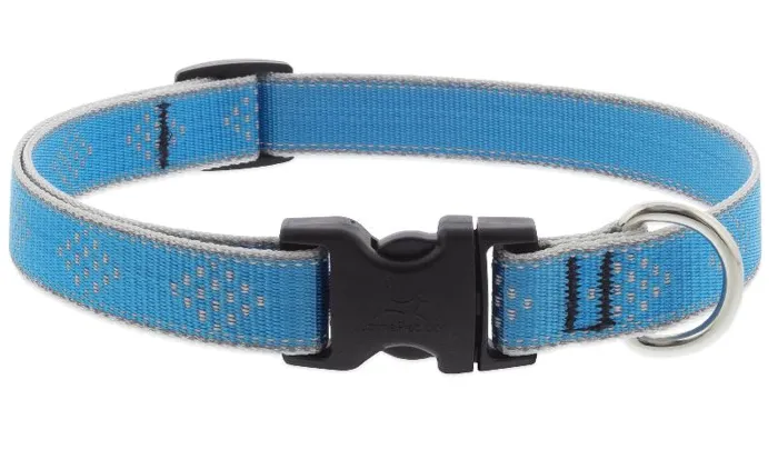 Lupine 1" Adj. Collar Blue Diamond 16-28"