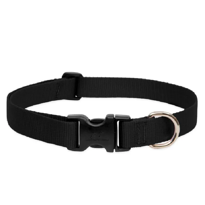 Lupine Adjustable Collar 1" 16-28" Black