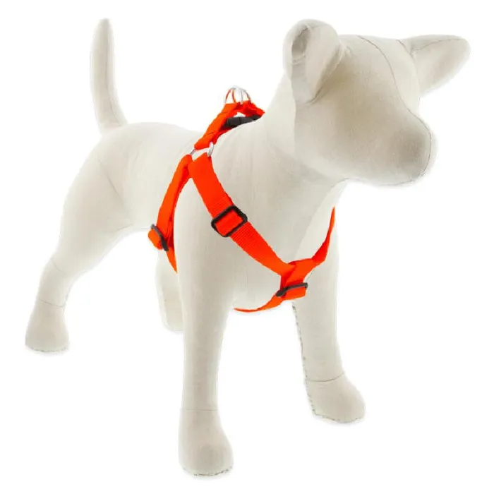 Step-in Harness 24-38" X 1" Blaze Orange
