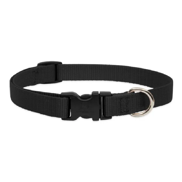 Lupine Adjustable Collar 3/4" Black 9"-13"