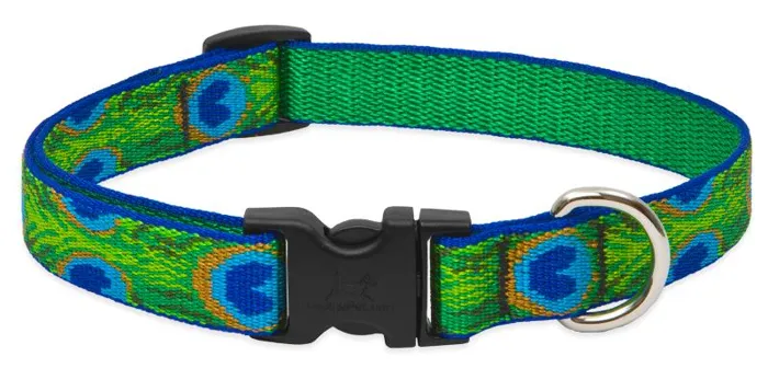 Lupine 1/2" Collar Tail Feathers 6"-9"