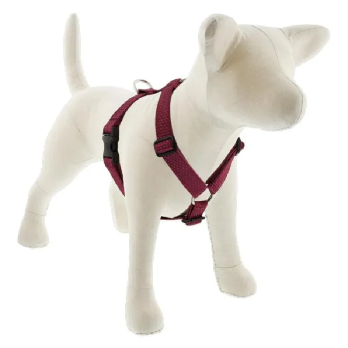 Lupine 1" Berry 24"-38" Step In Harness