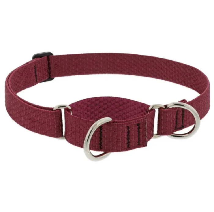1in Berry 15-22 Martingale