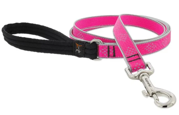Lupine Dog Leash 1" 4' Hl Pink Diamond