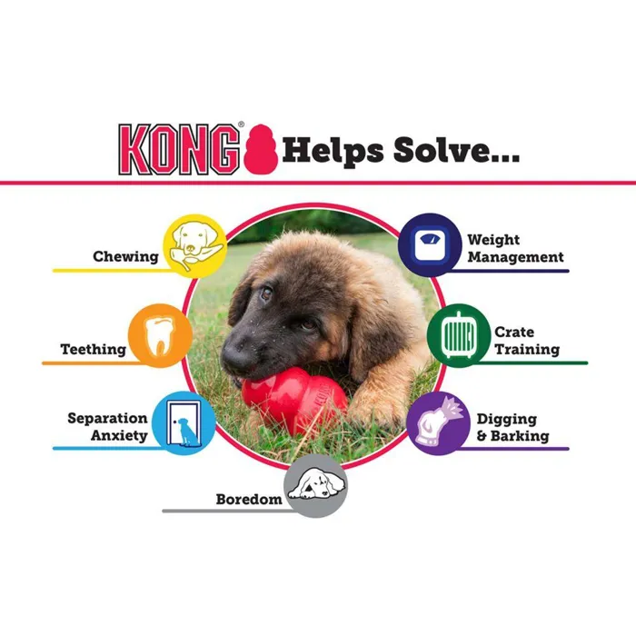 Kong Classic Puppy Medium Assorted