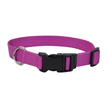 Adjustable Dog Collar With Plastic Buckle Orchid Lrg - 1" X 18"-26"