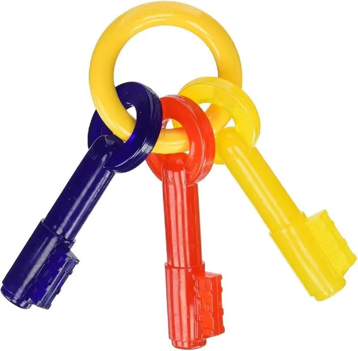 Nylabone Puppy Chew Teething Key Small