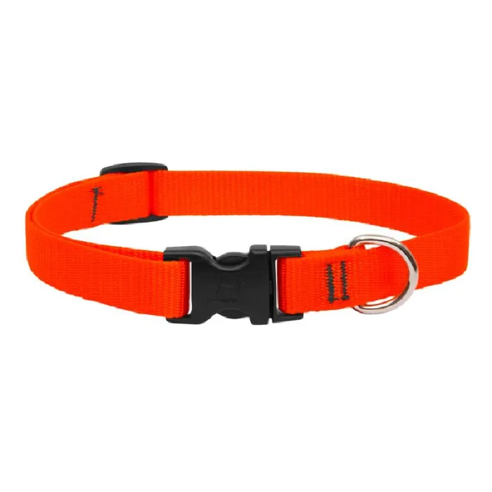 Lupine Adjustable Collar 3/4" 13-22" Blaze Orange