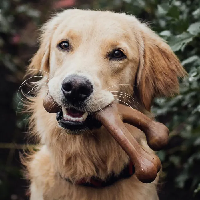 Benebone Dog Wishbone Peanut Butter Large