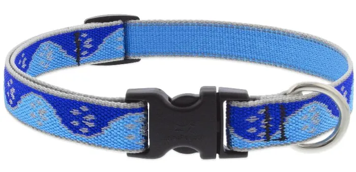 Lupine Collar 16-28" Hl Blue Paws