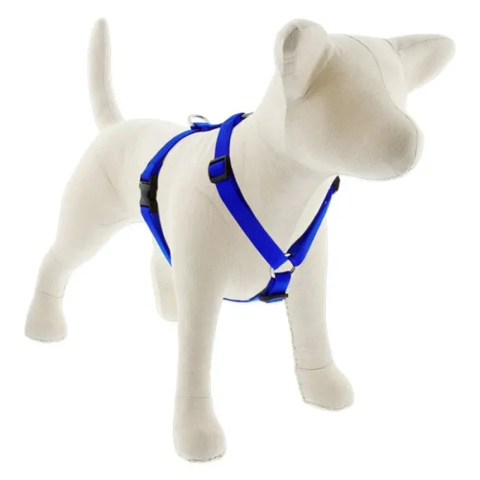 Lupine Basics Roman Harness 12-20" Blue 3/4"