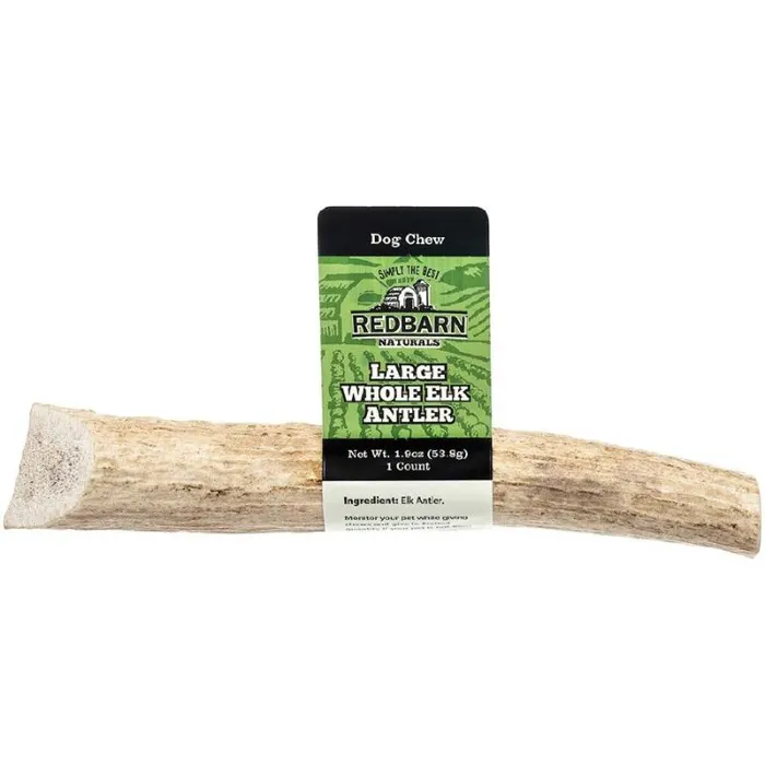 Whole Elk Antler - Lrg