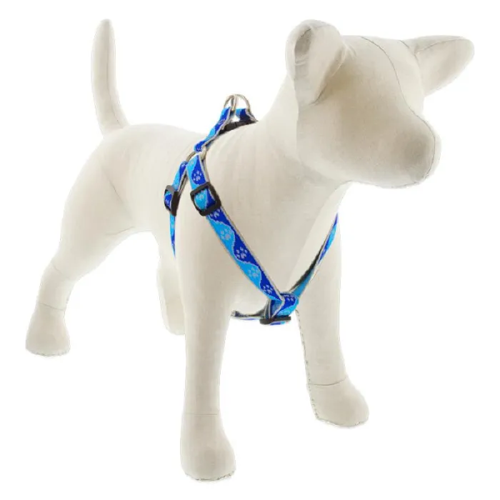 Hl 3/4in Blue-paws 20-30 Step In Hrns