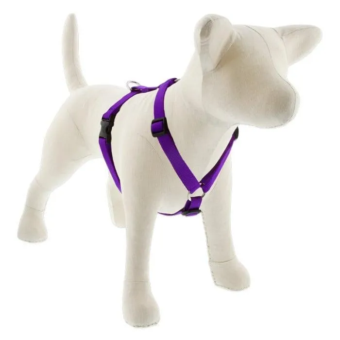 Lupine Basics Roman Harness 14-24" Purple 3/4"