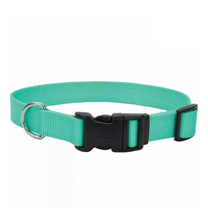 Adjustable Dog Collar With Plastic Buckle Teal Sml - 5/8" X 10"-14"