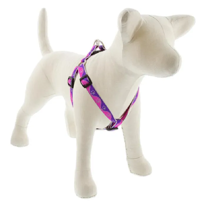 Hl 3/4in Pink-paws 20-30 Step In Hrns