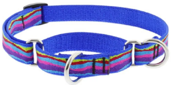 Lupine Martingale 3/4" Ripple Creek 10-14"
