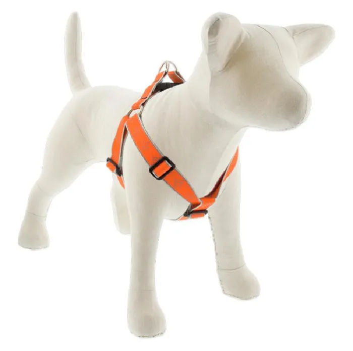 1" High Lights Orange Diamond 24"-38" Step In Hrns