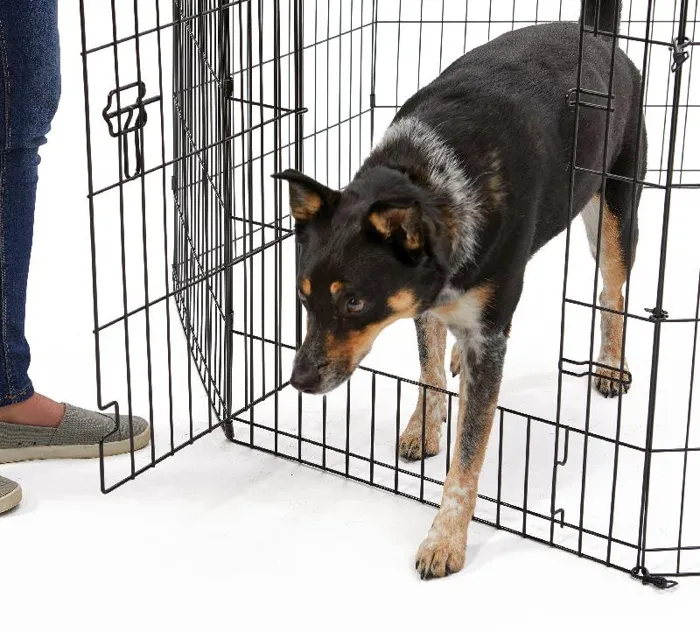 Contour Exercise Pen With Door 24"