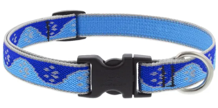 Lupine Collar 13-22" Hl Blue Paws