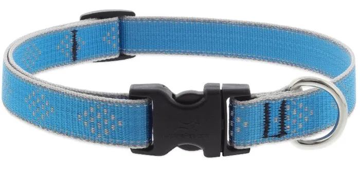 Lupine Diamond Collar Blue 1/2" 6"-9"