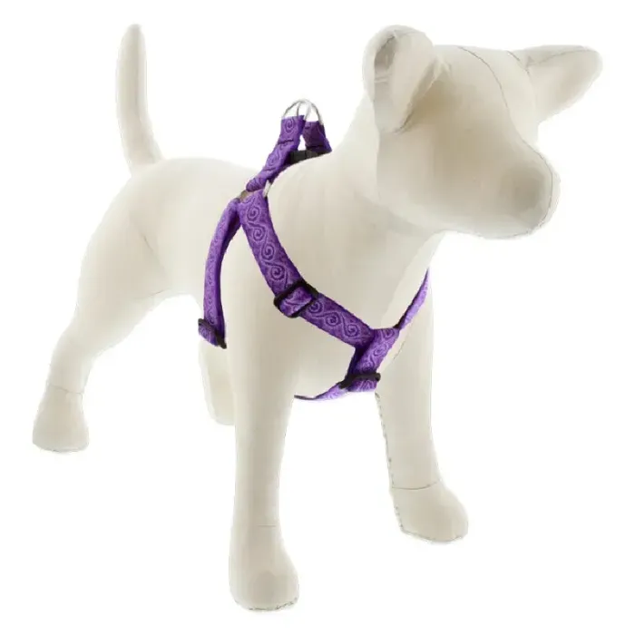 Lupine 1" Step-in Harness Jelly Roll 19-28