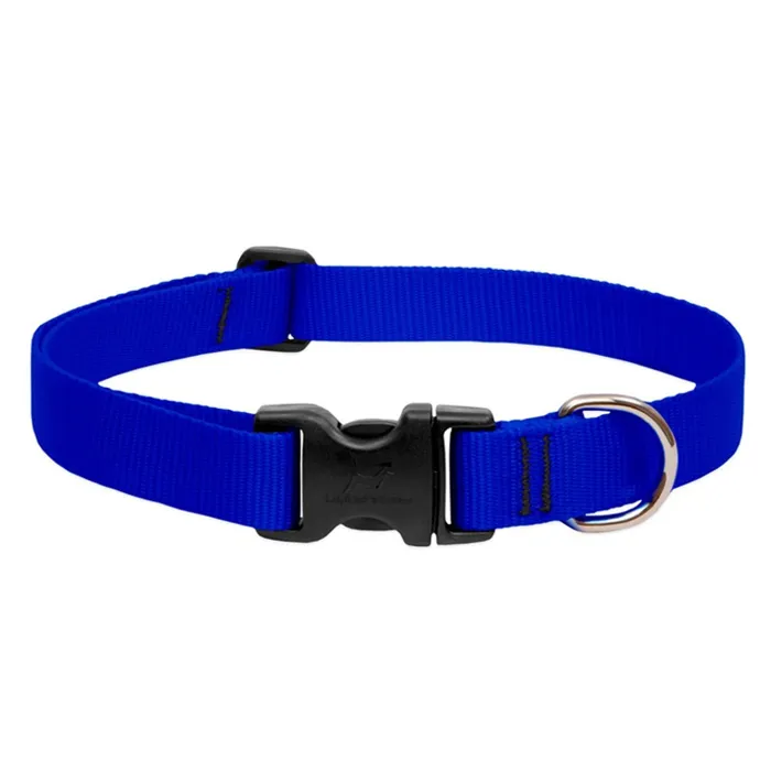 Lupine Adjustable Collar 1/2" 6-9" Blue