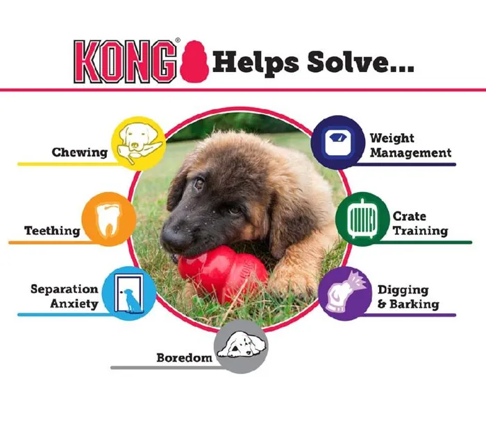 Kong Classic Nat Rubber Bouncy Dog Toy Regular