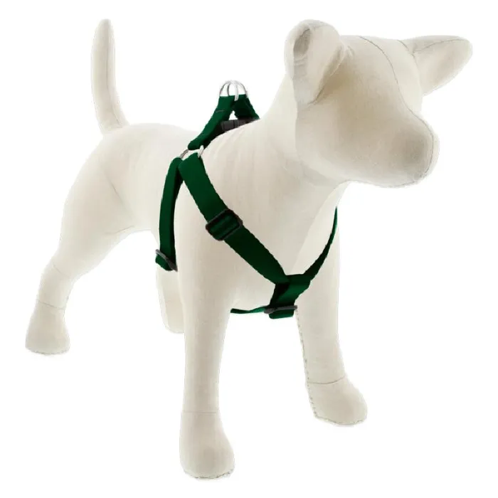 Lupine 1" Green 19"-28" Step In Harness