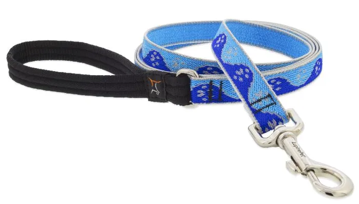 3/4" Blue Paws Leash 4 Foot