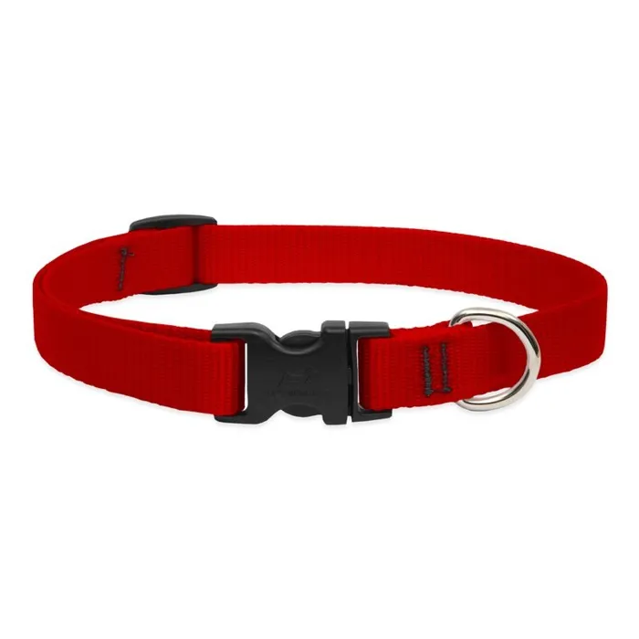 Lupine Adjustable Collar 3/4" Red 15"-25"