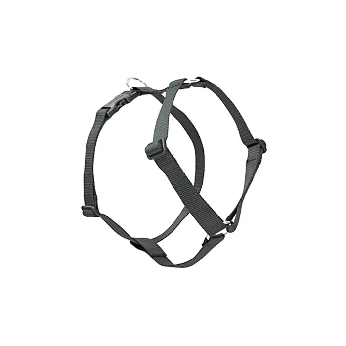 Lupine 1/2" Black 9-14" Roman