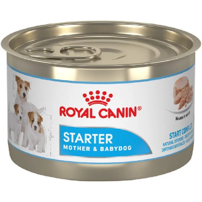 Rc Mother/bbydog Mousse 24/5.1z