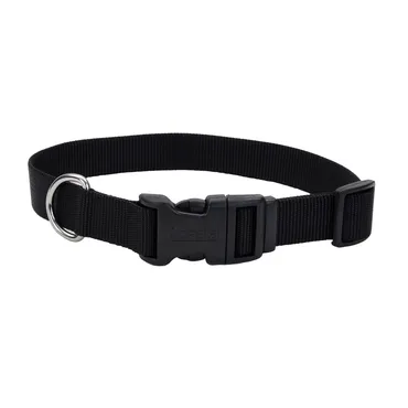 Adjustable Dog Collar With Plastic Buckle Black Xsml - 3/8" X 8"-12"