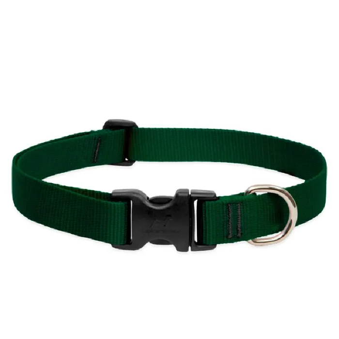 Lupine Collar 16"-28" Green Basic Green 16"-28" 1"