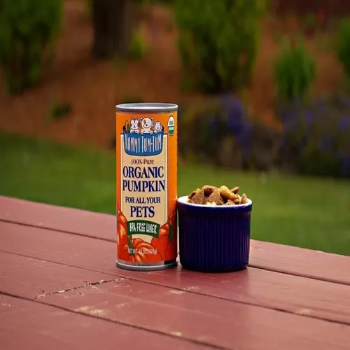 Nummy Tum Tum Organic Canned Pumpkin Dog 15 Oz