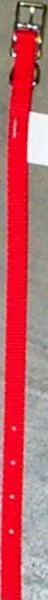 Single Ply Dog Collar - Red Xsml 3/8" X 10"
