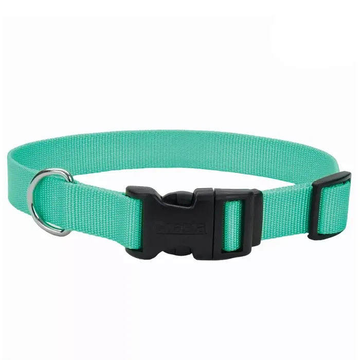 Adjustable Dog Collar With Plastic Buckle - Teal X