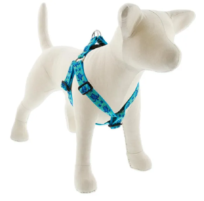 Lupine 1" Turtle Reef 19"-28" Step In Harness