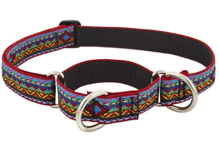 1in El Paso 19-27 Martingale