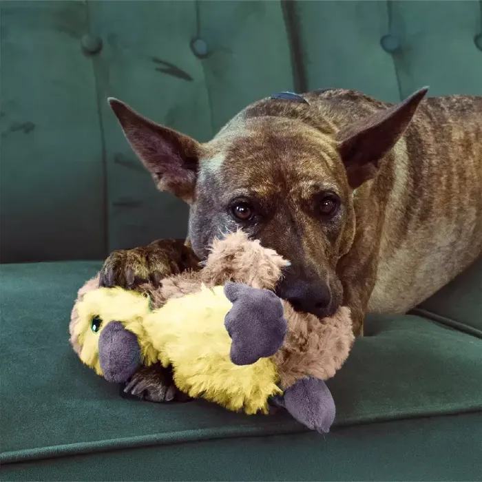 Kong Dog Comfort Tyke Gosling Small